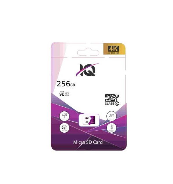 MICRO IQ U3 256GB
